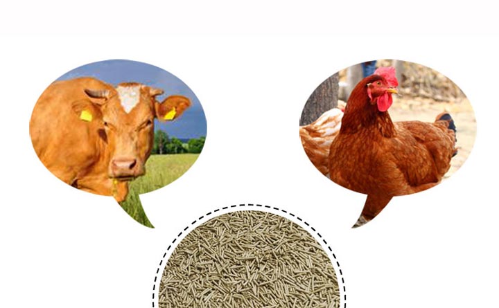 飼料養殖2.jpg 飼料養殖2.jpg