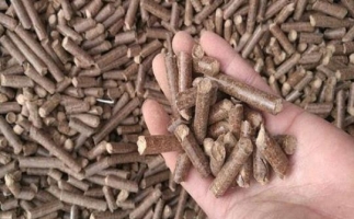 鋸末顆粒機(jī)生物質(zhì)燃料與燃煤對比情況如何？