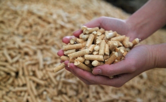 為什么越來越多人選鋸末顆粒機的生物質顆粒取暖？