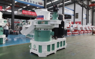 創(chuàng)業(yè)為什么選擇木屑顆粒機設(shè)備，這幾種理由就夠了